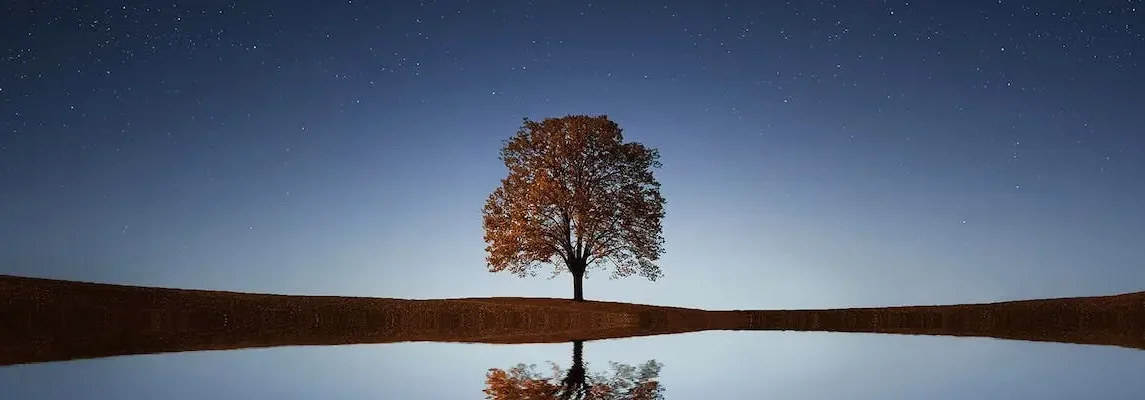 O que é Crescimento Profissional: Uma Reflexão sobre Seu Significado